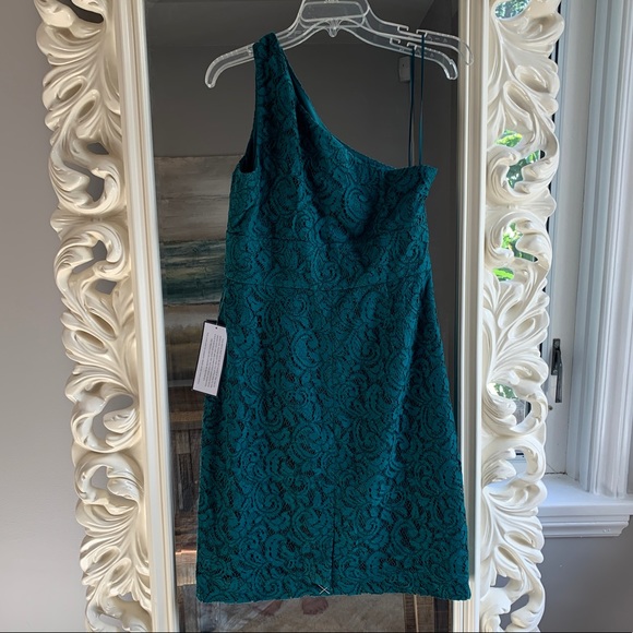 J Crew Alexa Dress in Leavers Lace - Picture 3 of 6